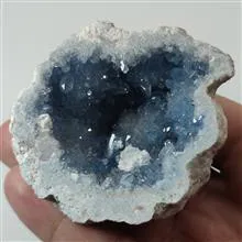 ژئود