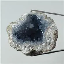 ژئود