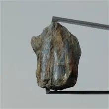 راف