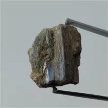 راف
