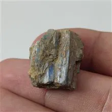 راف