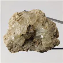 راف