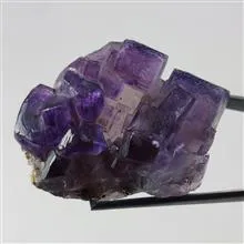 راف