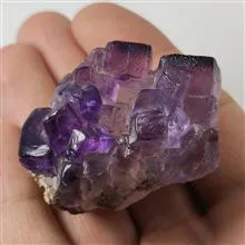 راف