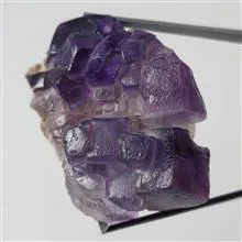راف