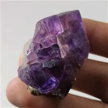 راف