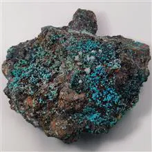 راف