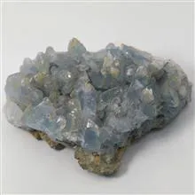راف