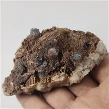 راف
