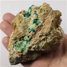 راف