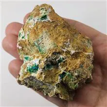 راف