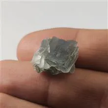 راف