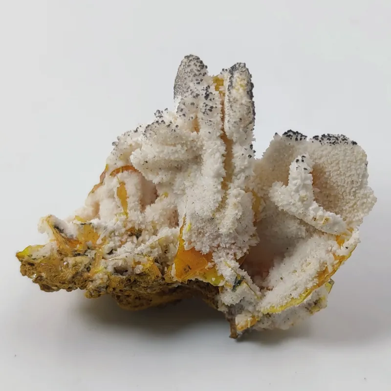 راف سنگ ولفونیت معدنی احمدآباد