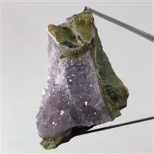 راف