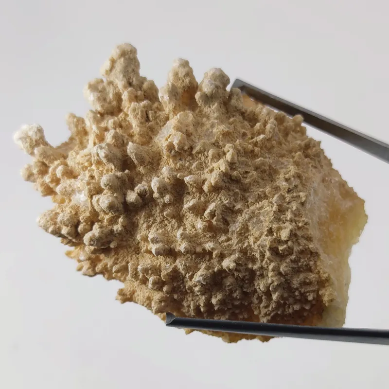 راف سنگ آراگونیت معدنی و طبیعی