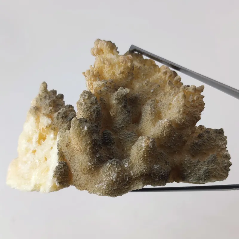 راف سنگ آراگونیت معدنی و طبیعی