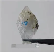 راف