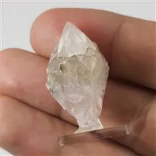 راف