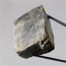 راف