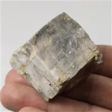 راف