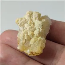 راف