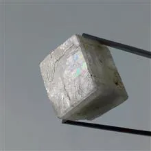راف
