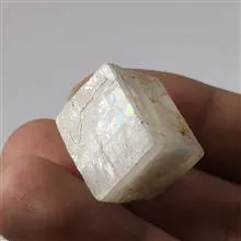 راف