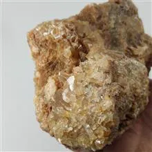 راف