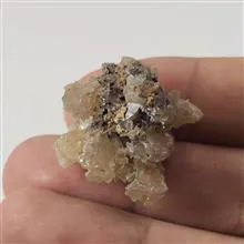 راف