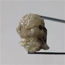 راف
