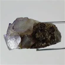 راف