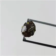 راف
