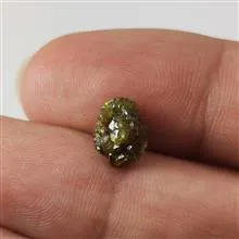راف