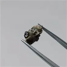 راف