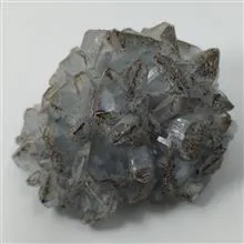 راف