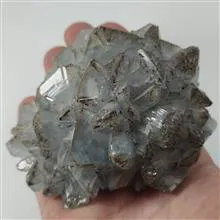 راف
