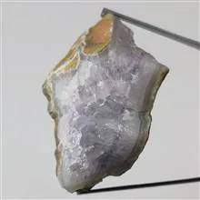 راف