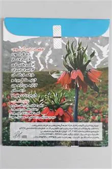 سی