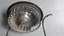 فن