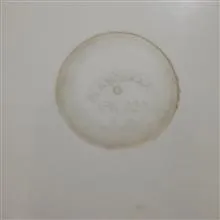 جفت