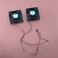 فن
