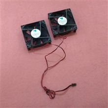 فن