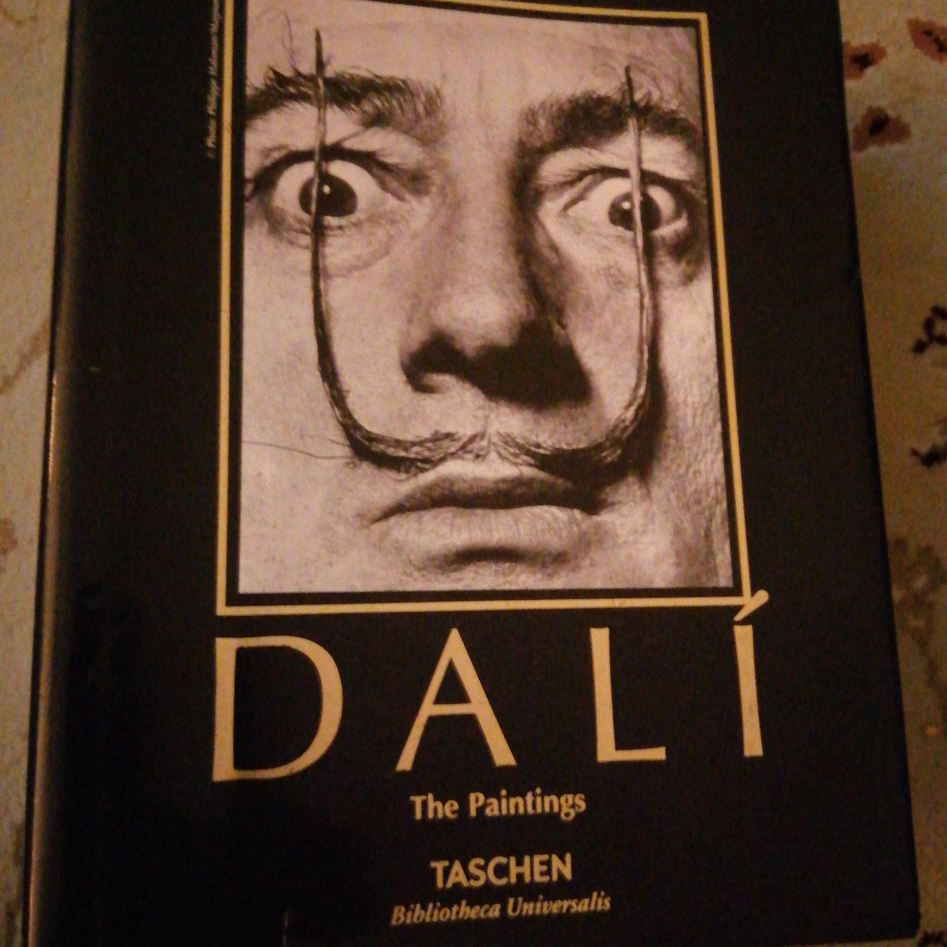 آثار نقاشی سالوادور دالی-DALI the paintings