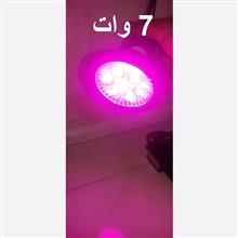 لامپ