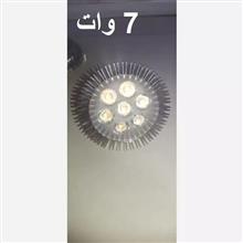 لامپ