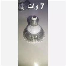 لامپ