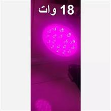 لامپ