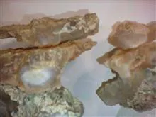 سنگ
