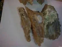 سنگ