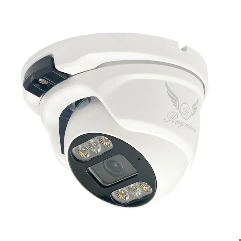 دوربین مداربسته دام 2 مگاپیکسل مدل RD-2M-H52-AHD